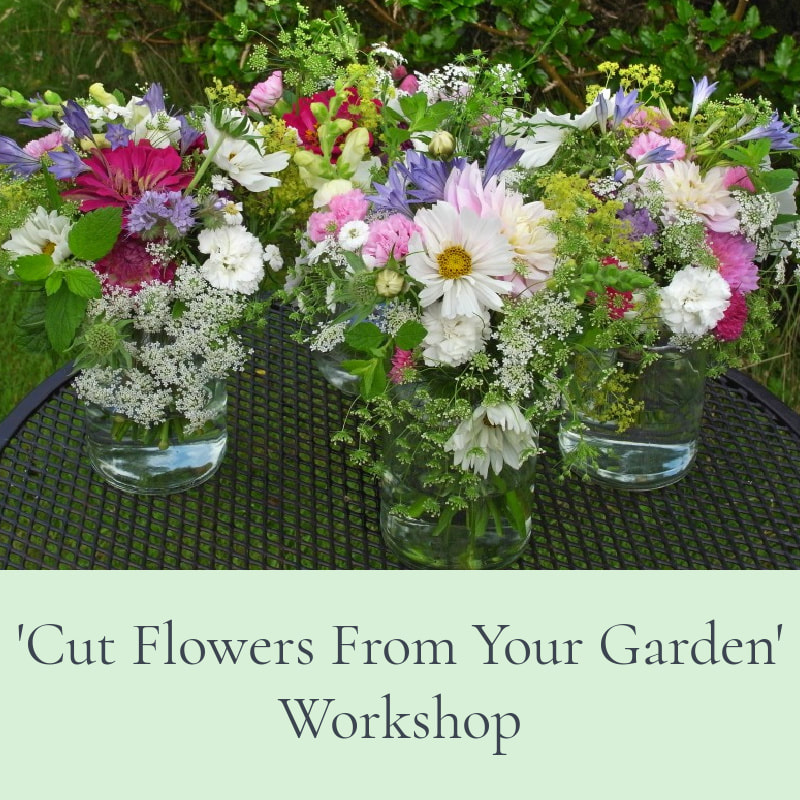 Flower workshops - Galloway Flowers